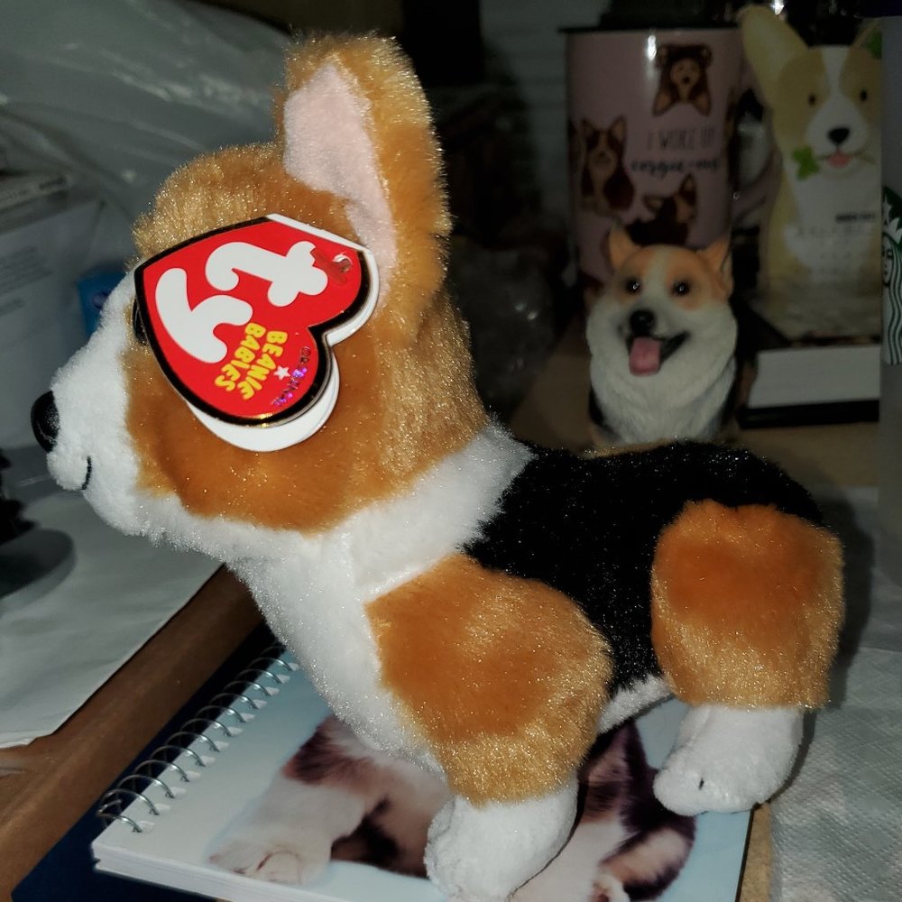 Ty Corgi dog